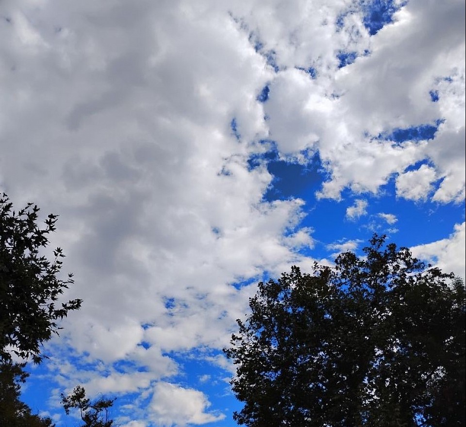 Clouds and Trees in Moorpark created by Lord God Almighty