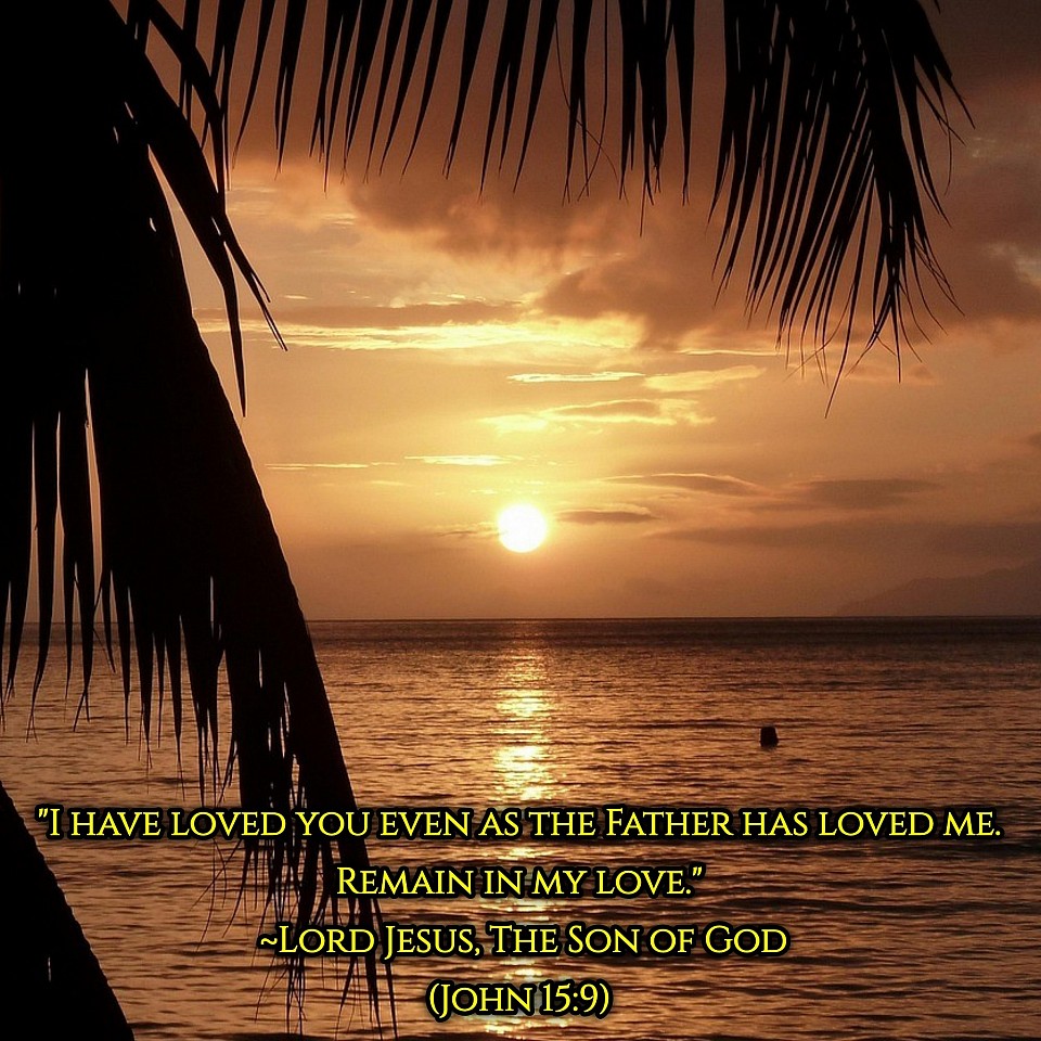 Here you will find some of the greatest quotes from The Son of God Himself, Lord Jesus. Feel free to share these quotes with others. Enjoy! **All verses are from the New Living Translation**